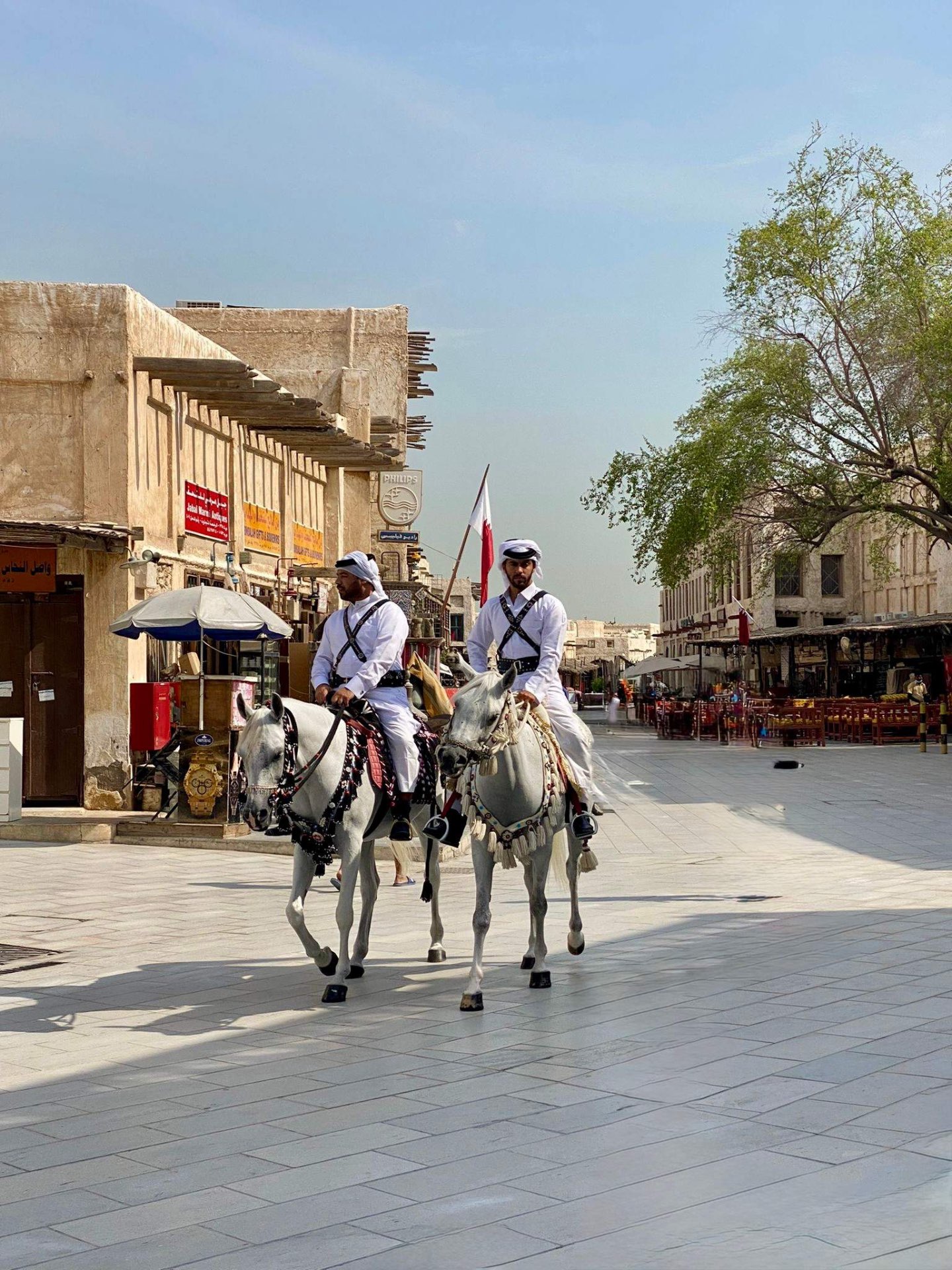 Наследие арабских скакунов — Al Shaqab и Education City